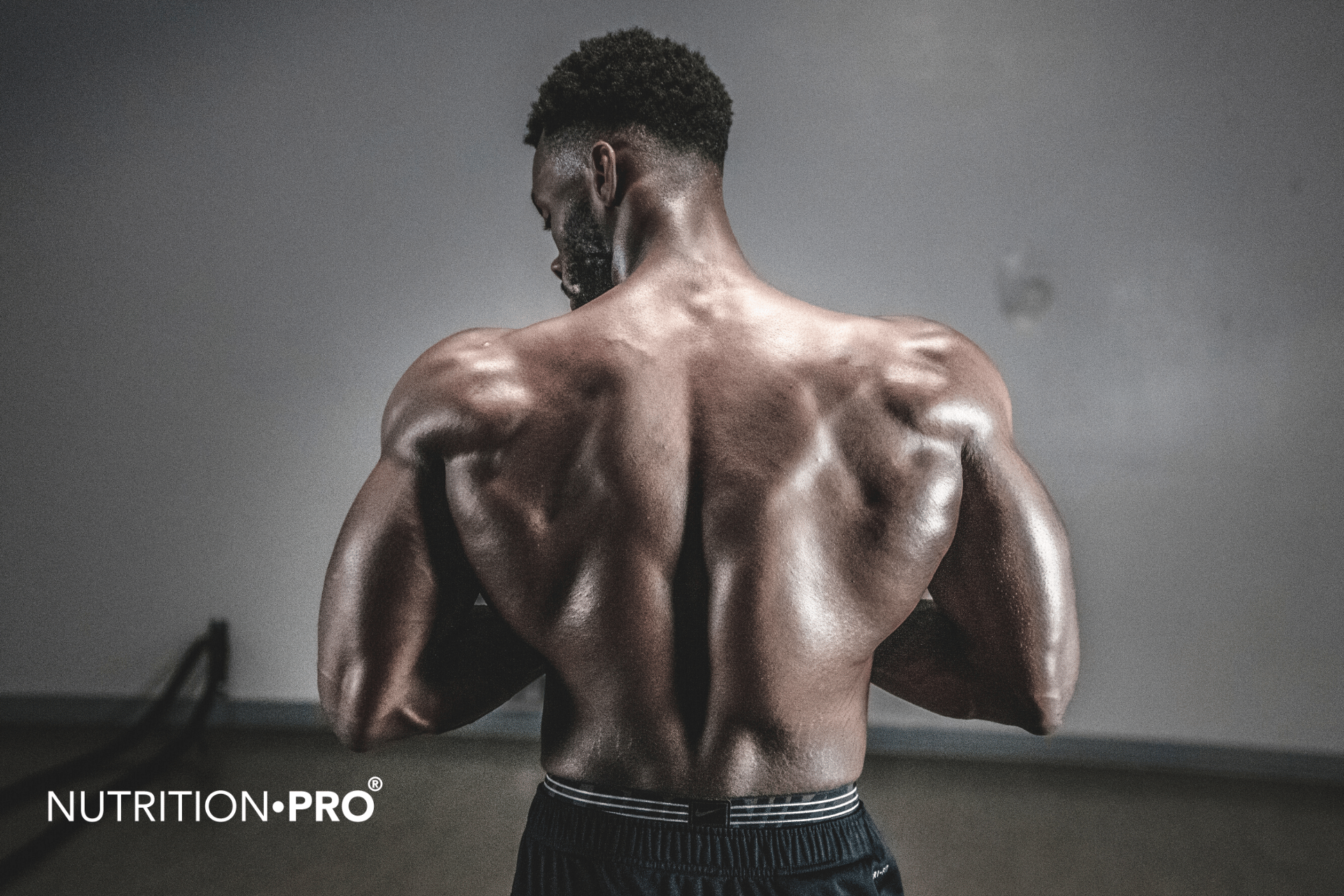 Les 24 meilleurs aliments pour prendre de la masse musculaire - Nutrition•pro