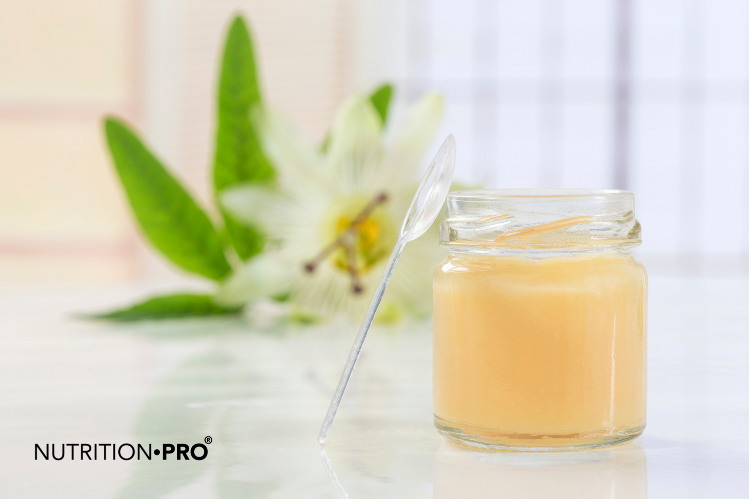 La gelée royale : tout ce que vous devez savoir sur cette merveille de la ruche