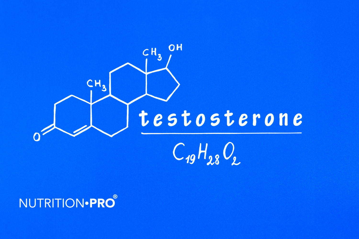 7 aliments qui augmentent la testostérone - Nutrition•pro
