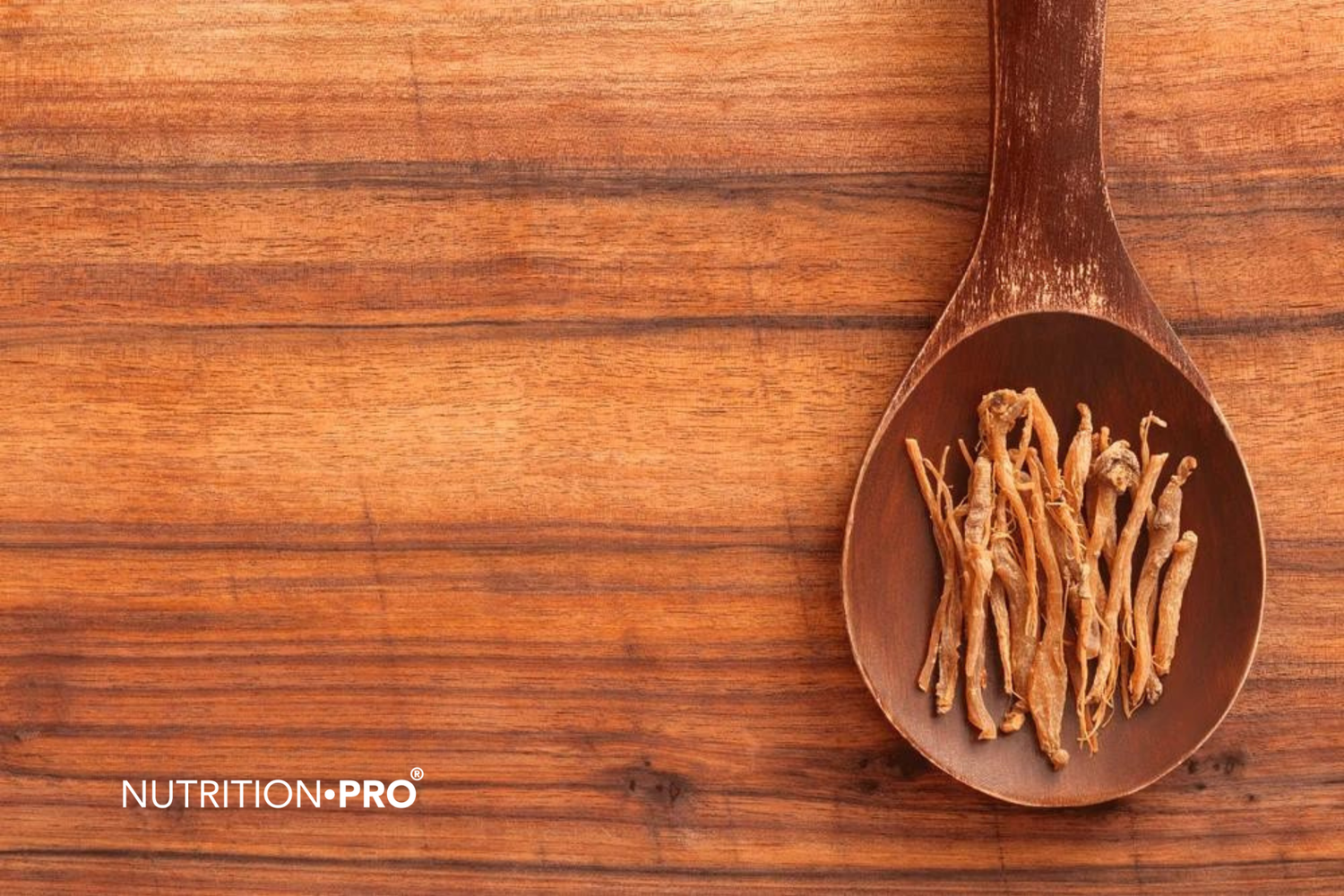 7 bienfaits prouvés du ginseng pour la santé