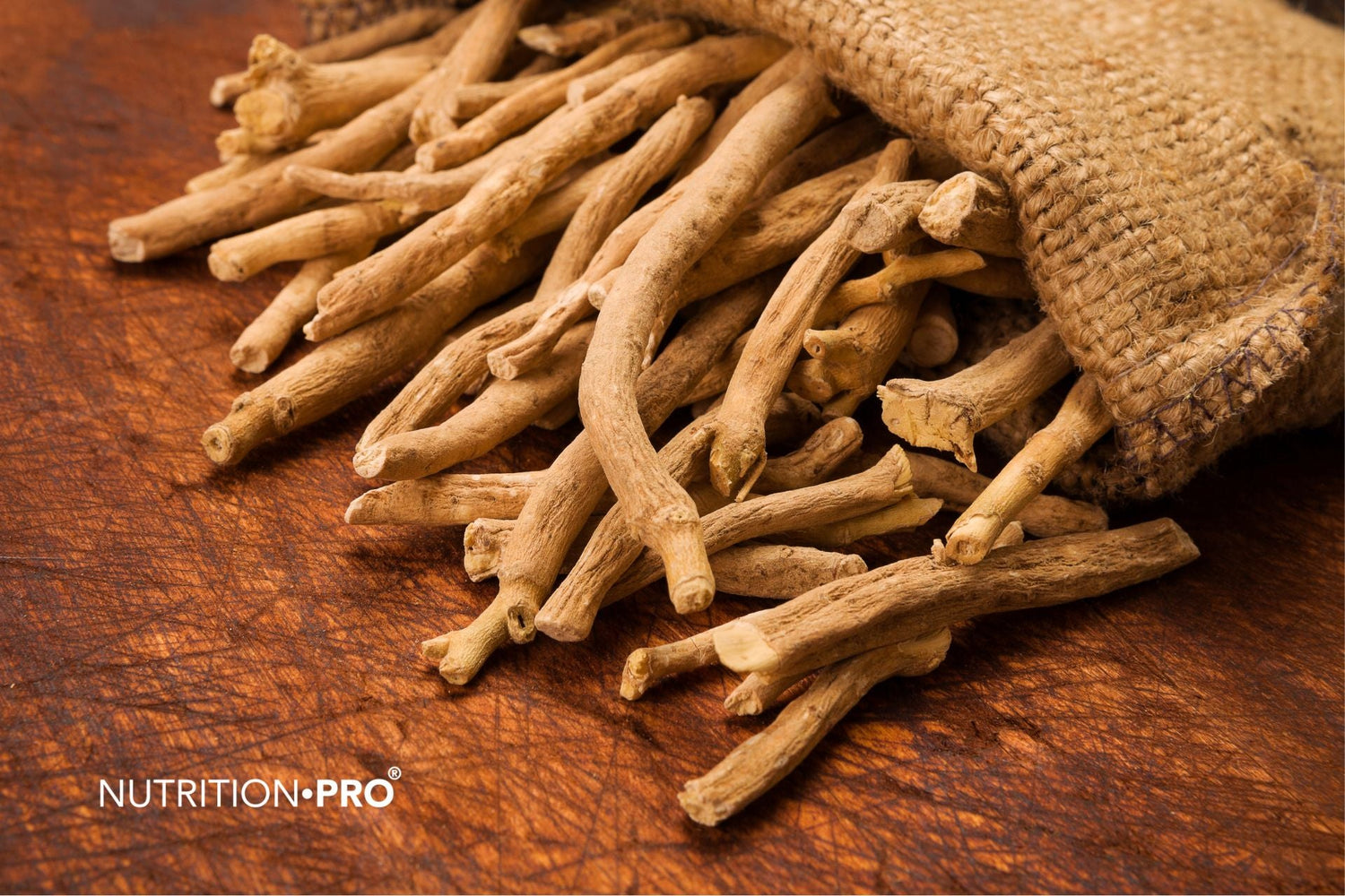 Ashwagandha : bienfaits, dose et meilleure forme (KSM-66)