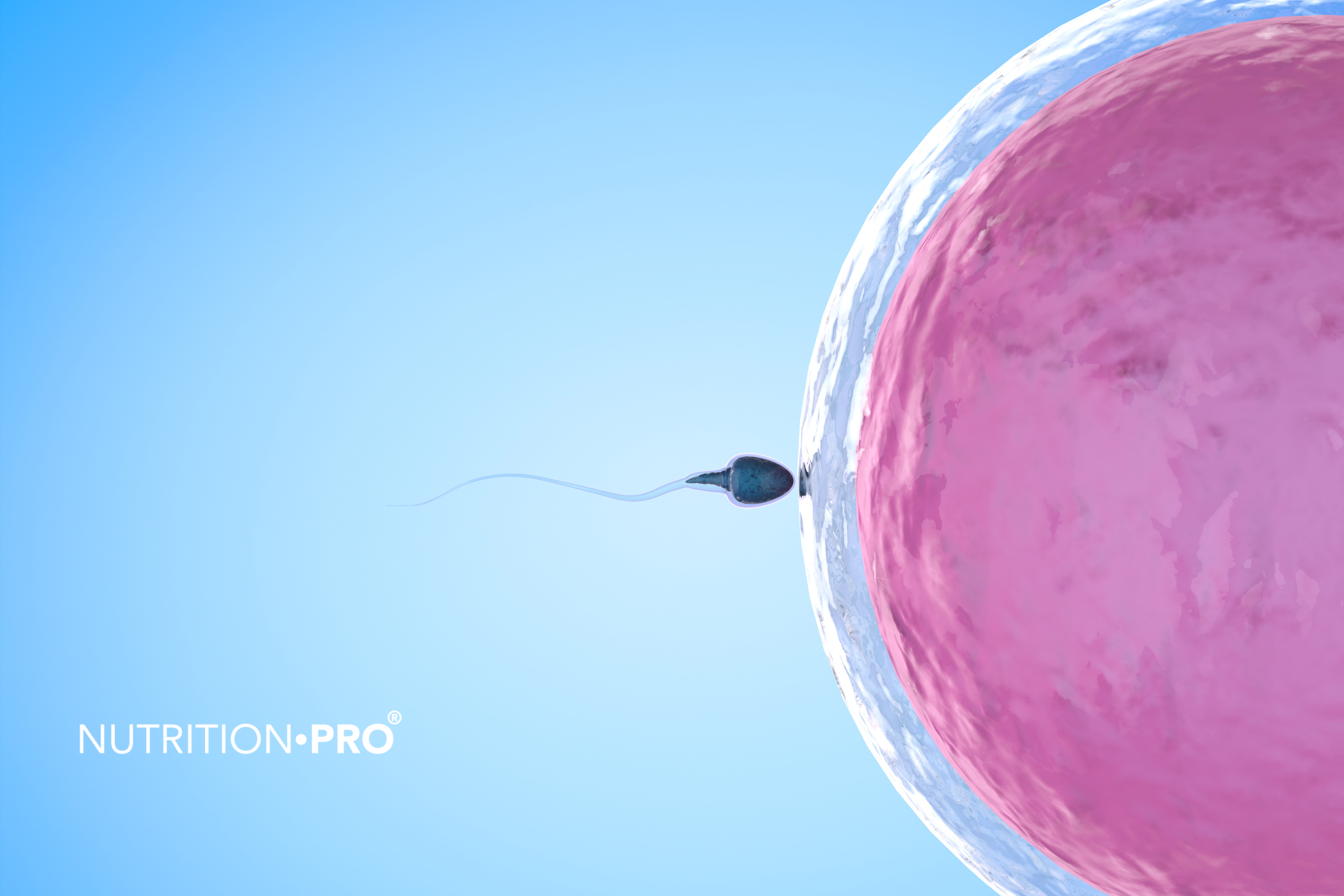 Augmenter la fertilité Solutions et conseils validés par la science