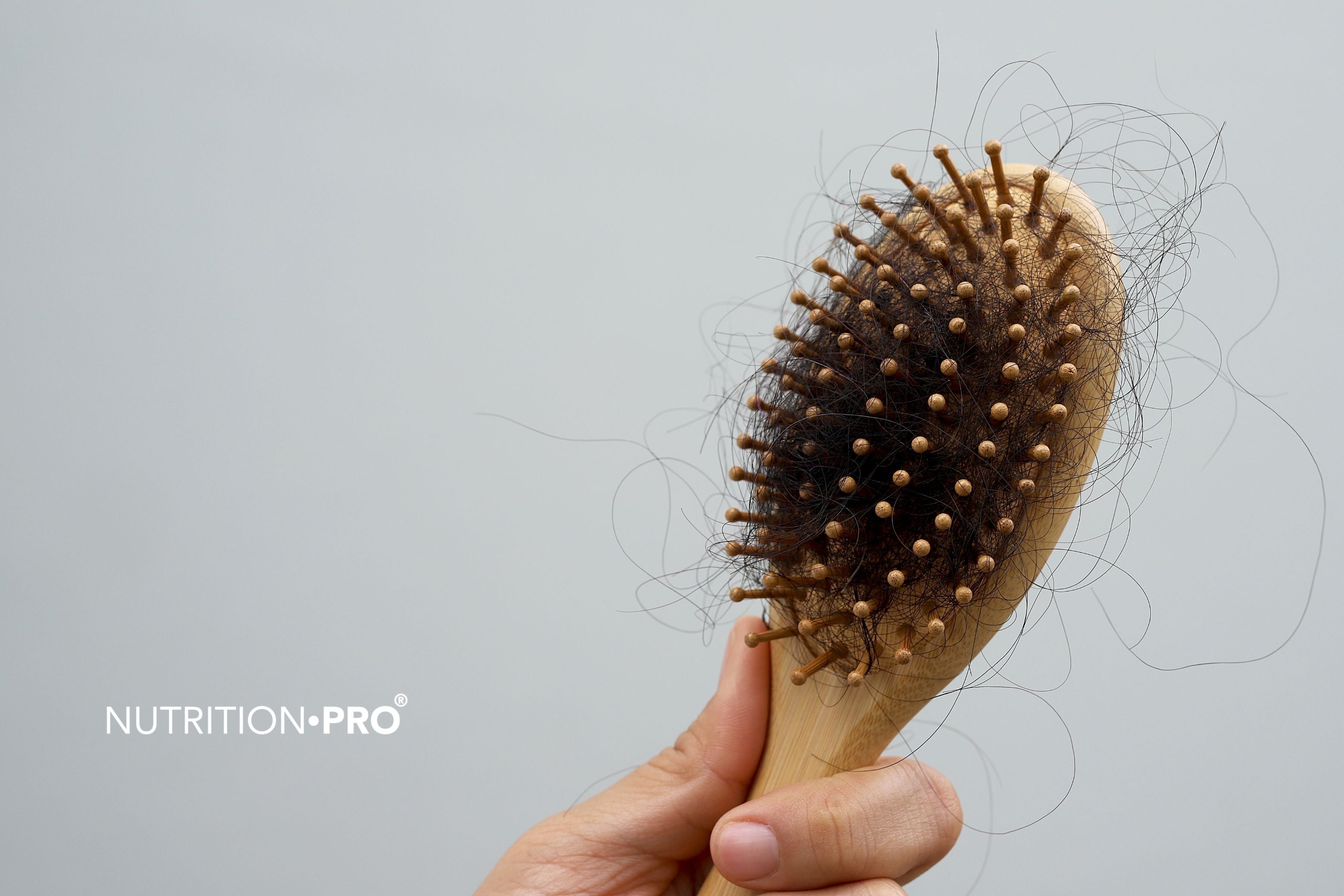 Carence en fer et chute de cheveux : quel taux de ferritine viser et comment agir