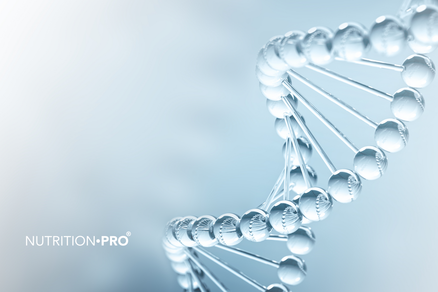 Collagène : La vérité appuyée par des études scientifiques