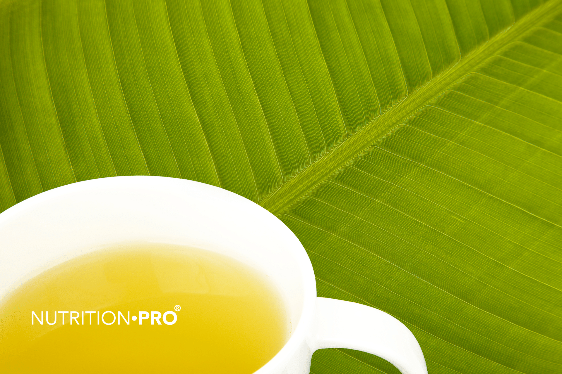 Comment le thé vert peut vous aider à perdre du poids