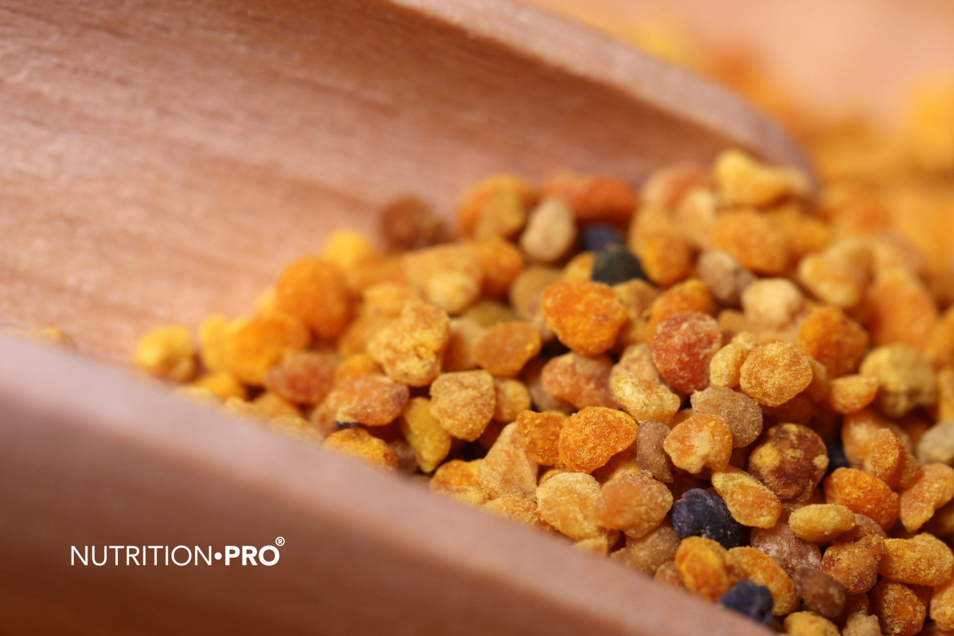 Comment prendre la propolis : forme, dose et durée