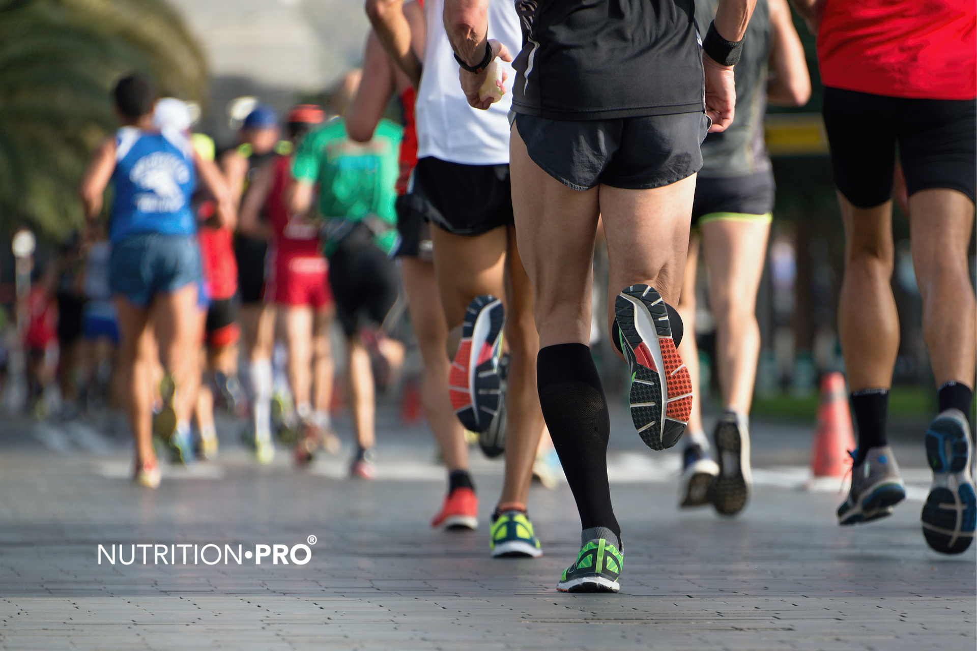 Comment préparer au mieux son marathon : le guide complet
