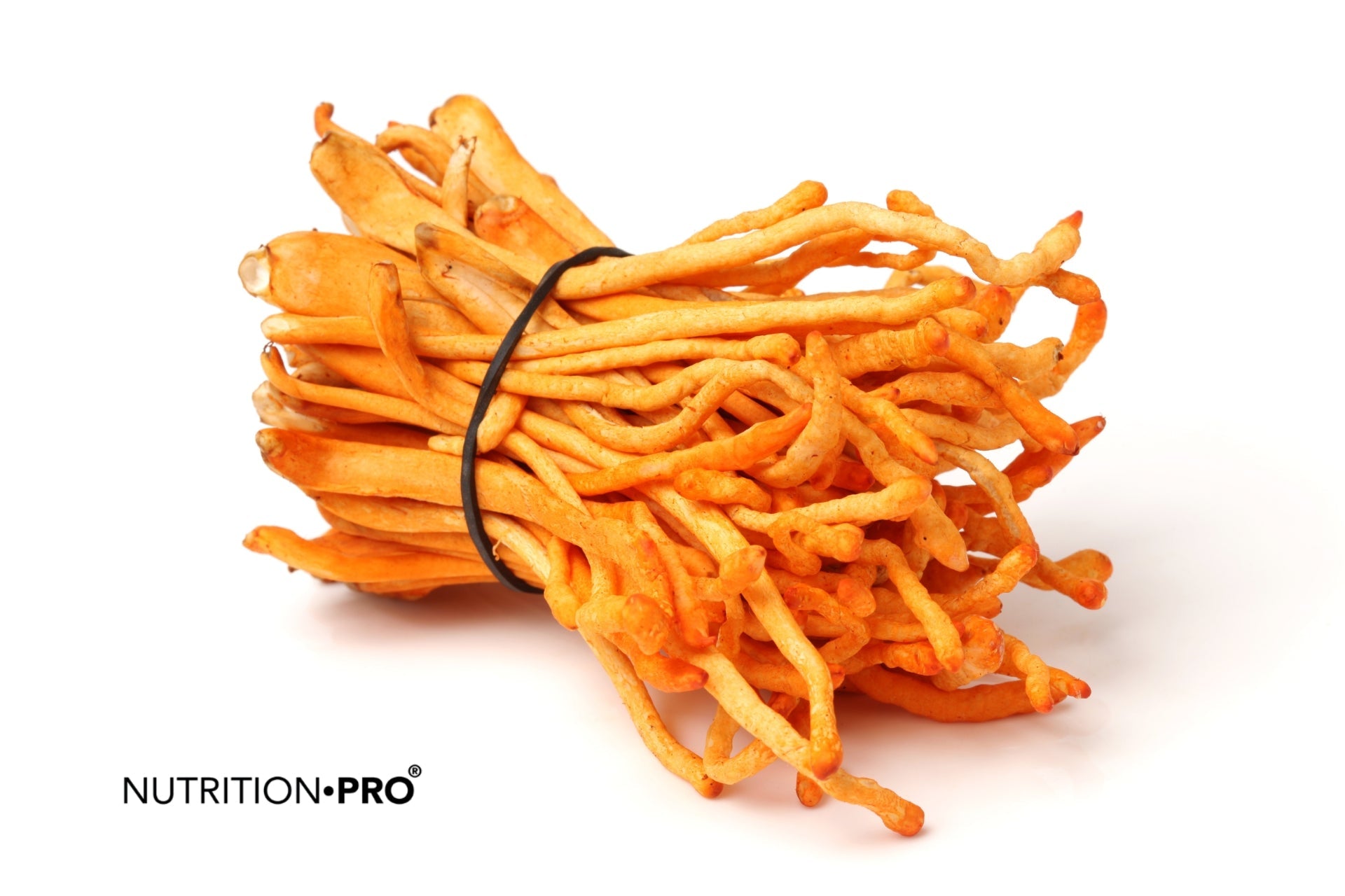 Cordyceps : 6 bienfaits prouvés sur la performance sportive