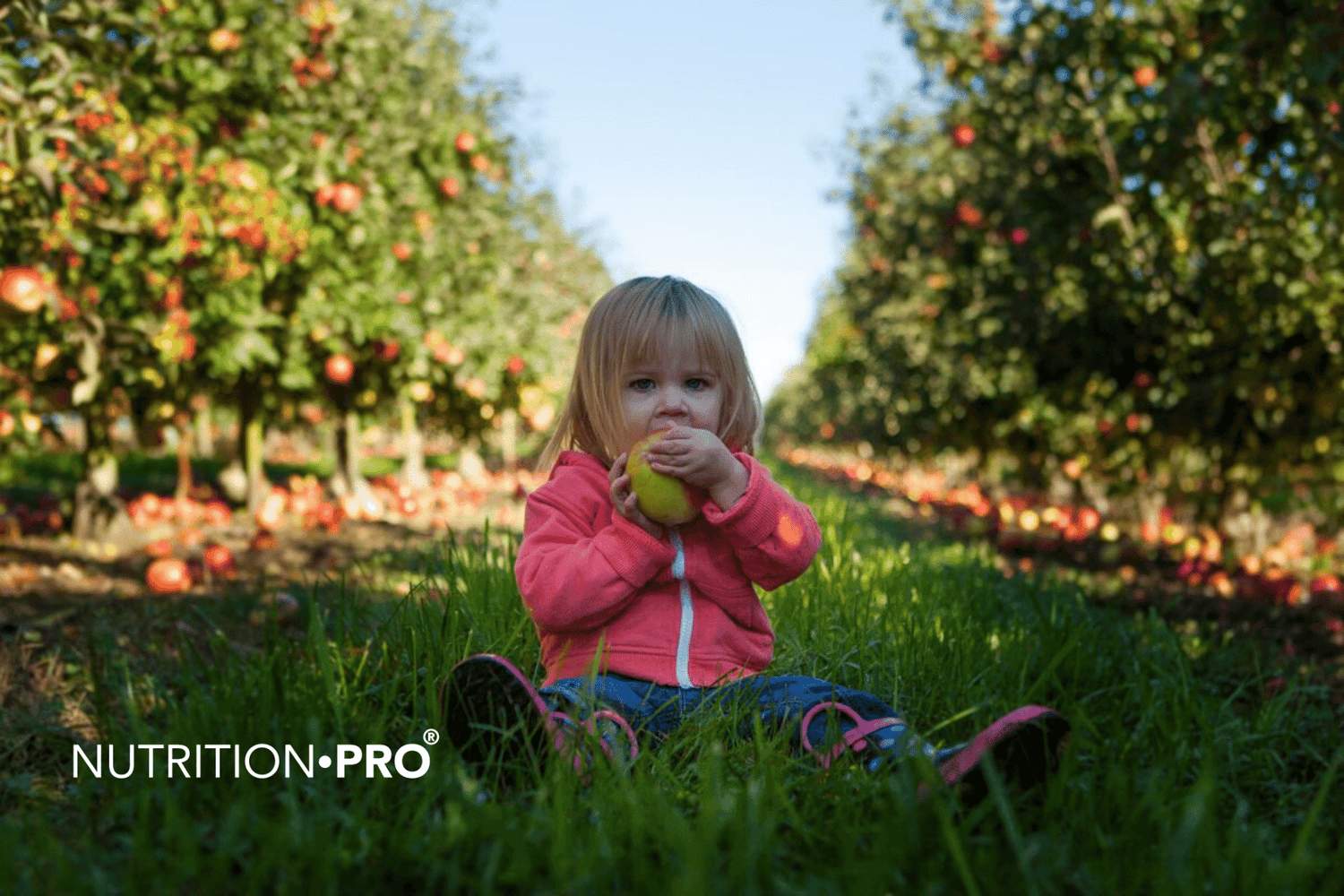 Croissance de l’enfant : quels aliments privilégier ?