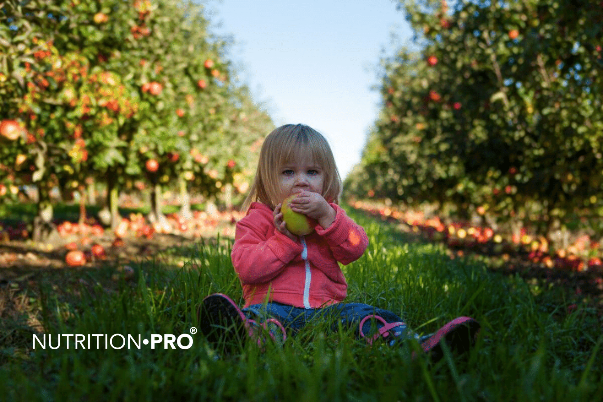Croissance de l’enfant : quels aliments privilégier ?