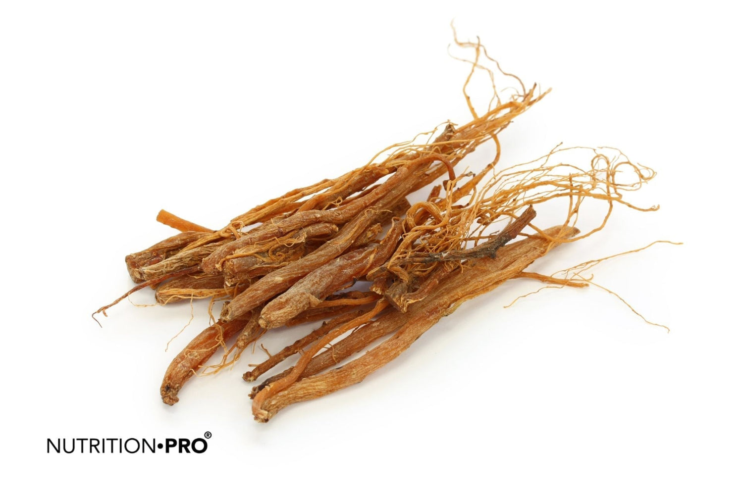 Ginseng et fatigue : un vrai coup de boost pour l'énergie ?