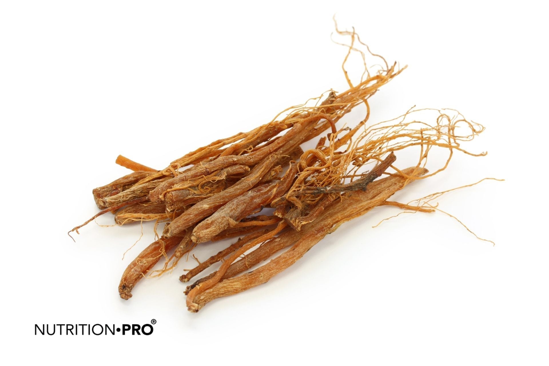 Ginseng et fatigue : un vrai coup de boost pour l'énergie ?