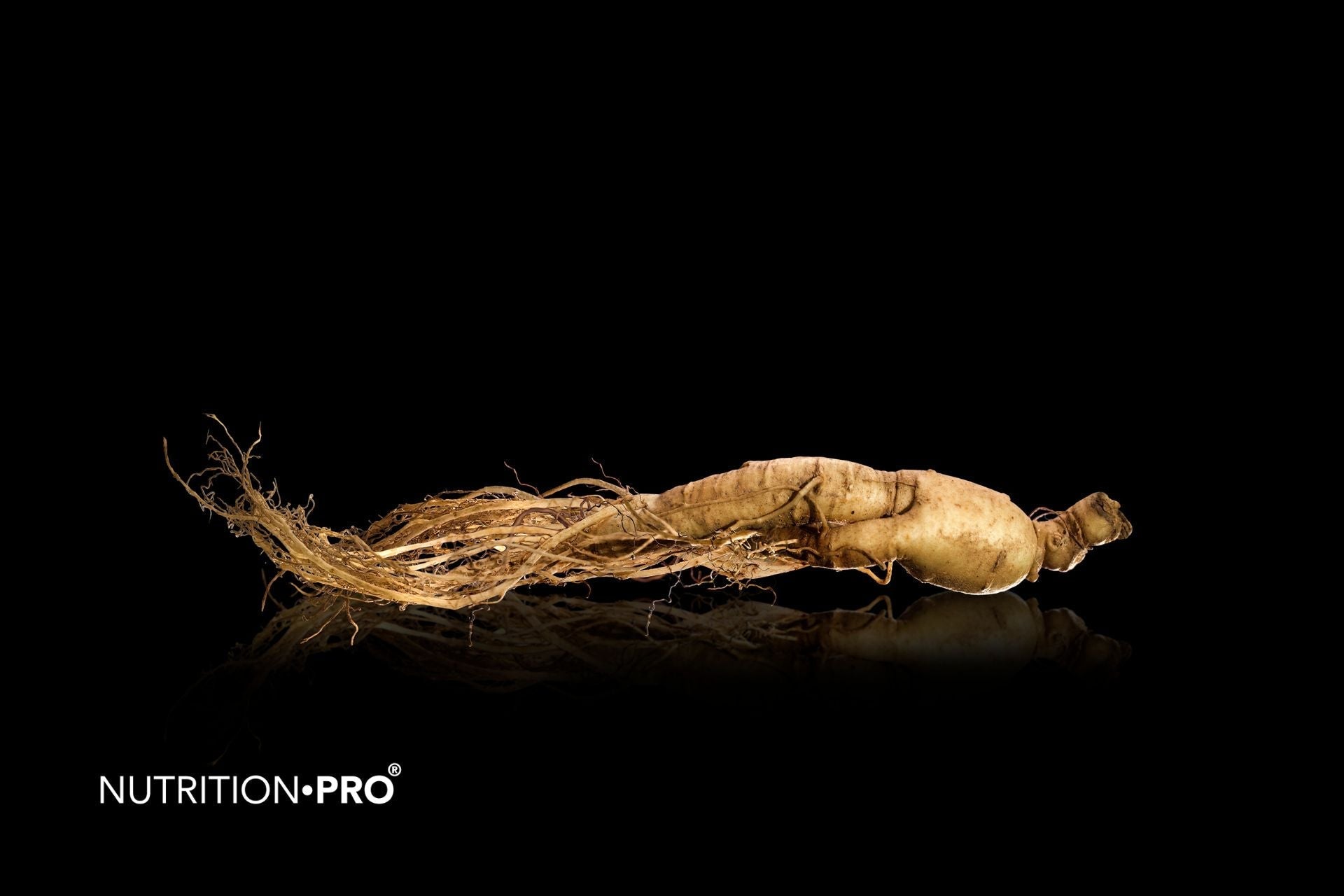 Ginseng rouge ou blanc : lequel choisir ?