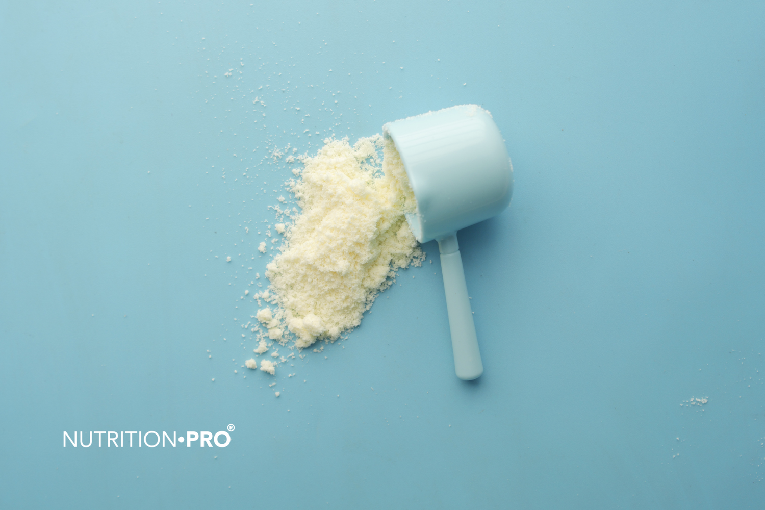 Glutamine et récupération musculaire : ce que les essais montrent, à quelle dose, et pour qui