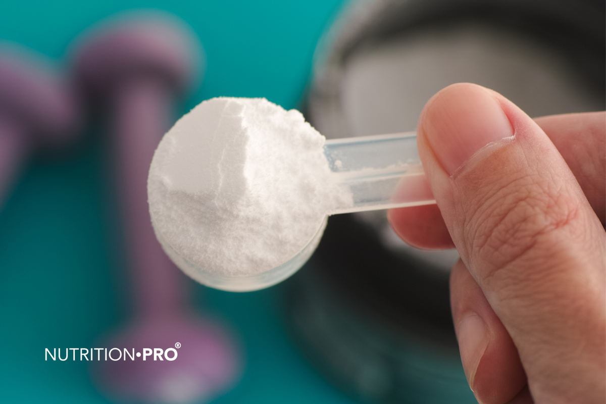 Glutamine et sport : immunité du sportif, intestin de l'athlète, ce que montrent les essais