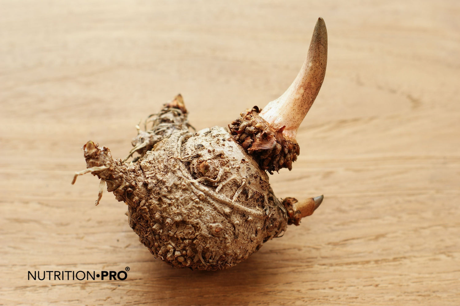 Konjac et perte de poids : ce que dit la science