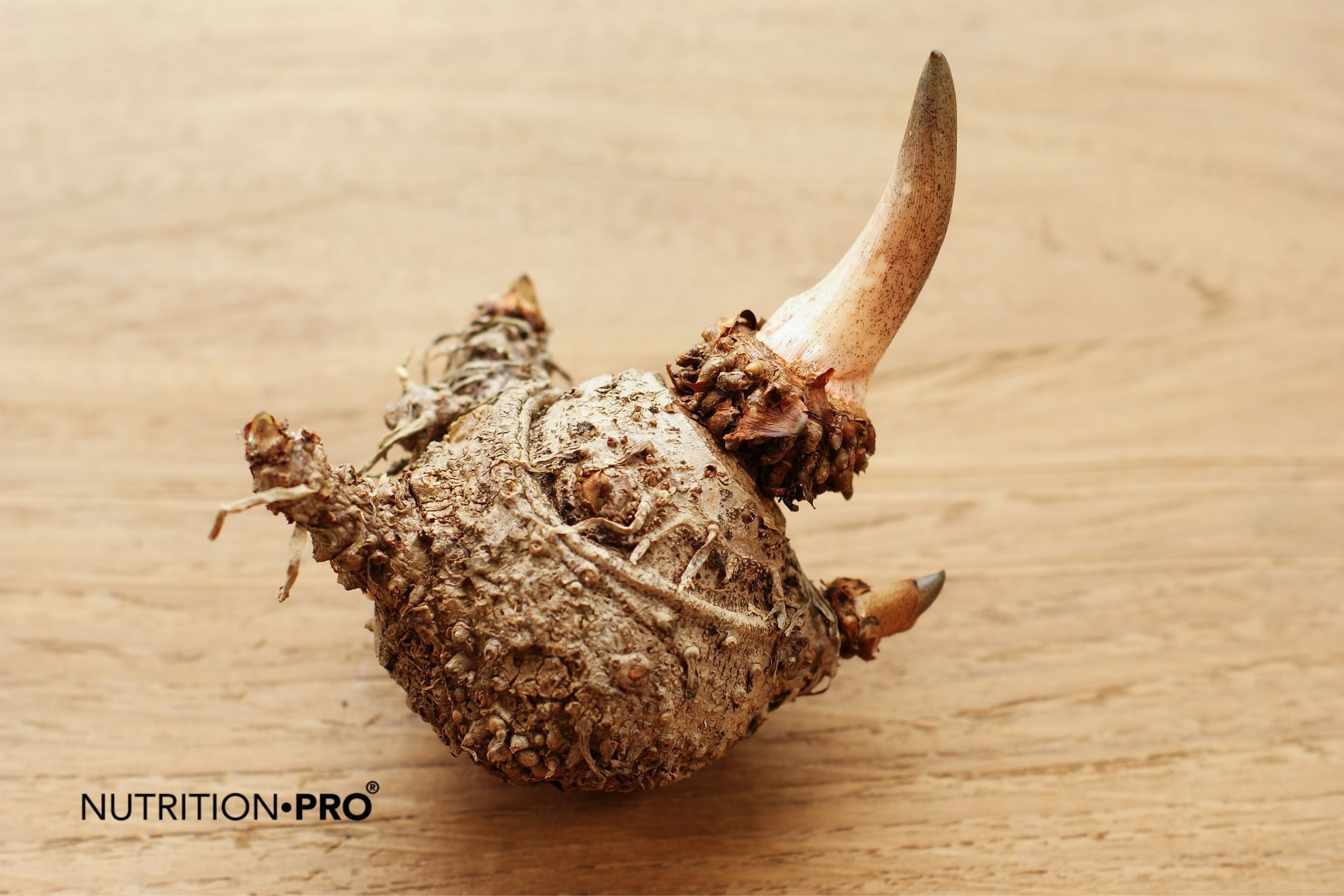 Konjac et perte de poids : ce que dit la science