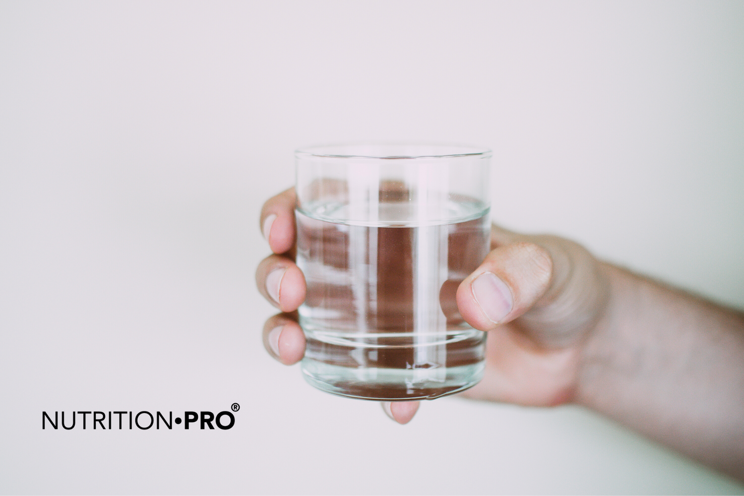 nutrition pro - jeûne hydrique