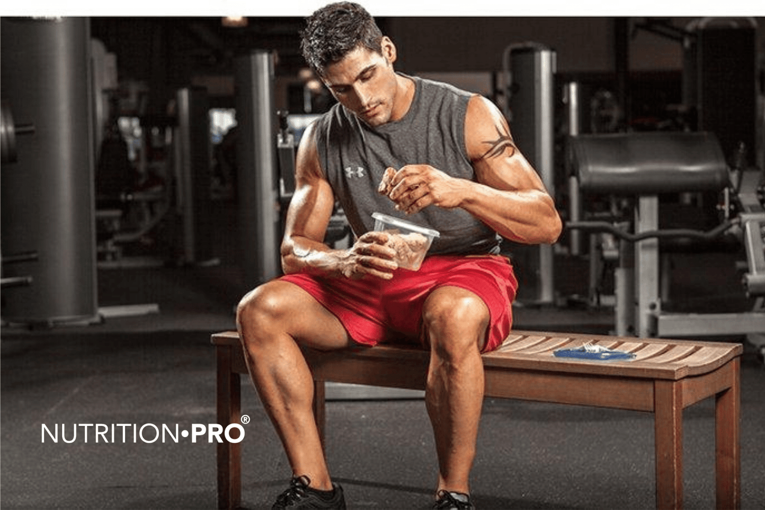 Les 20 aliments les plus riches en protéines