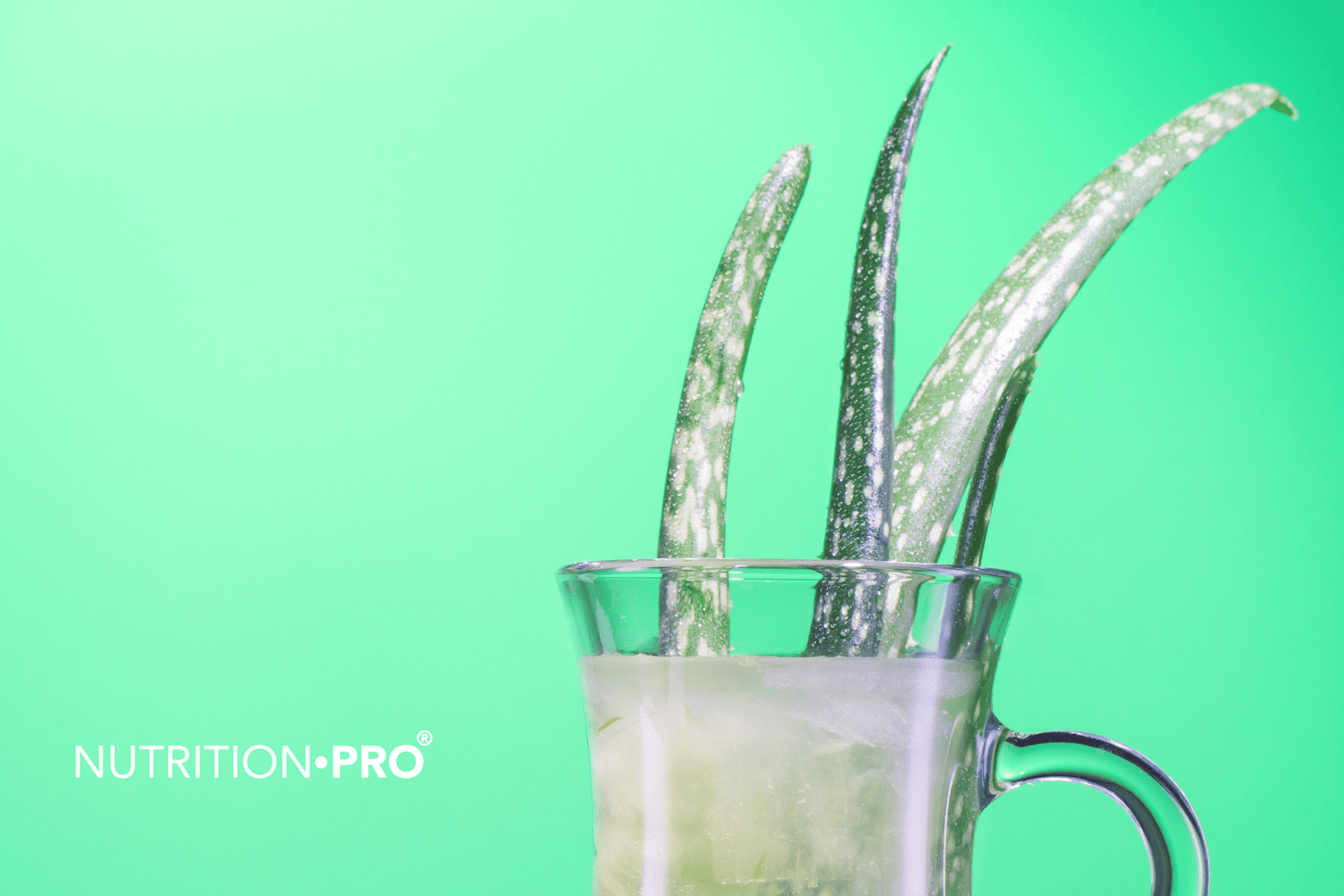 Les avantages de l'Aloe Vera pour la perte de poids