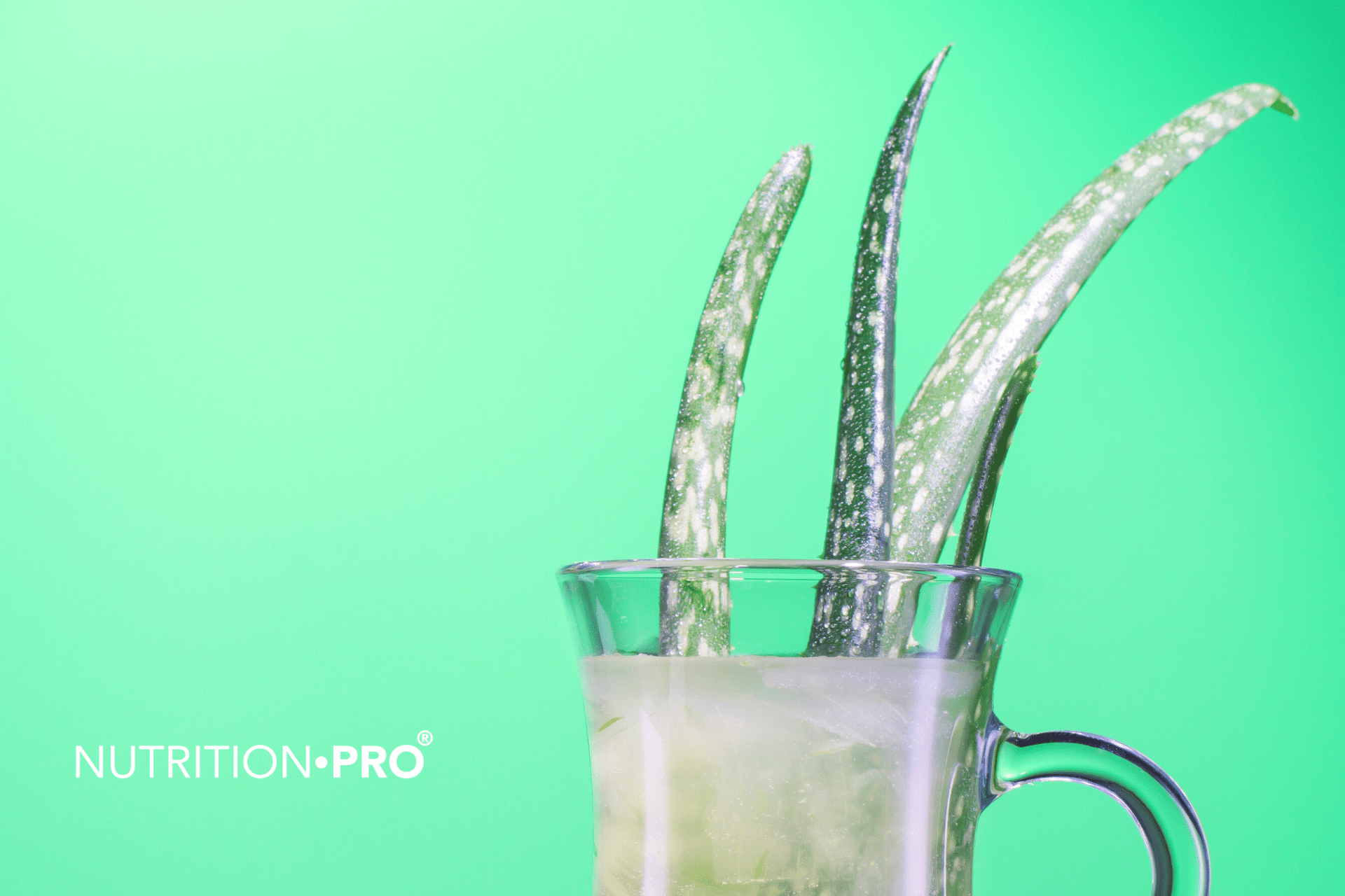 Les avantages de l'Aloe Vera pour la perte de poids
