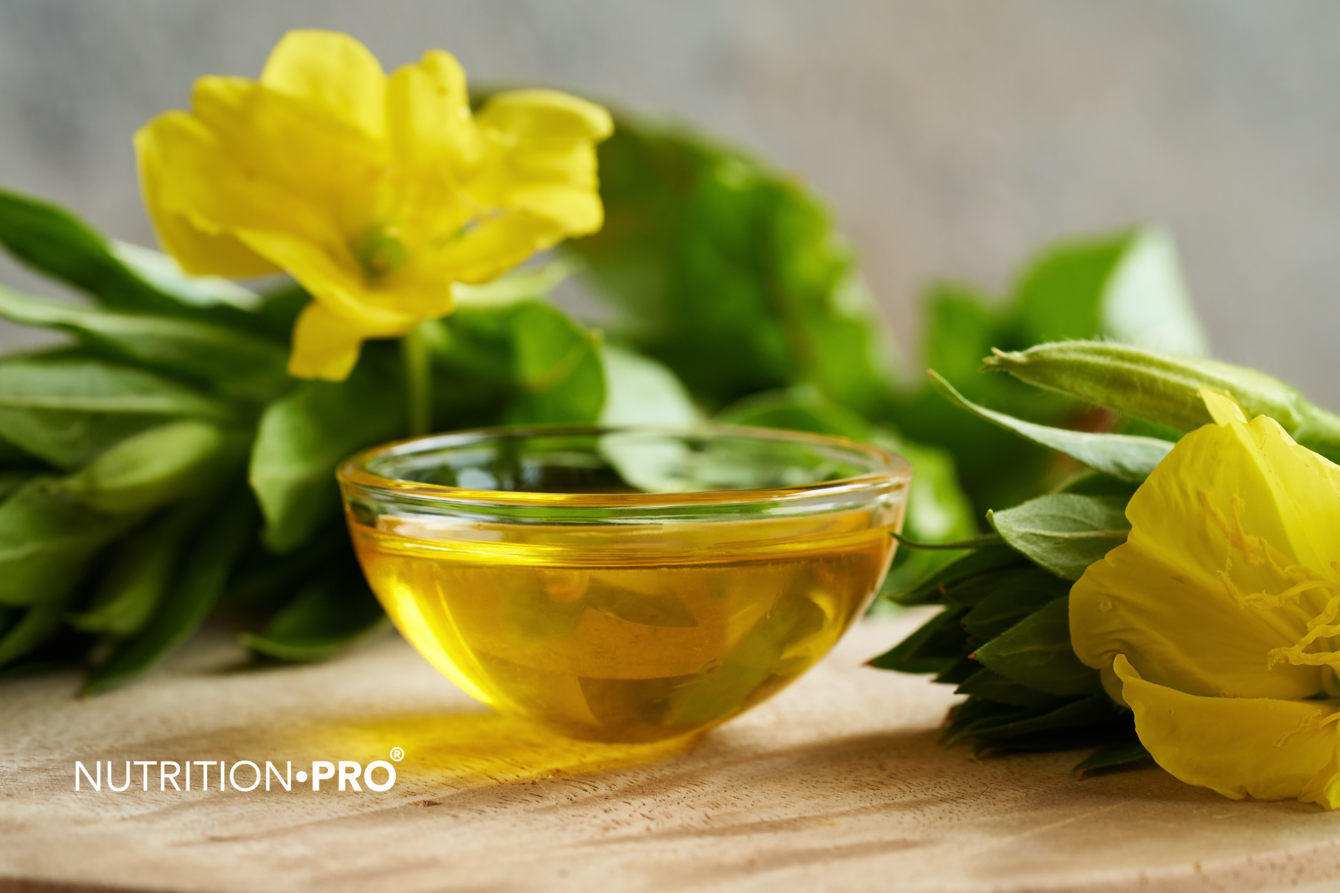 Les secrets de l'huile d'onagre et de bourrache : Pourquoi et comment les intégrer à votre routine