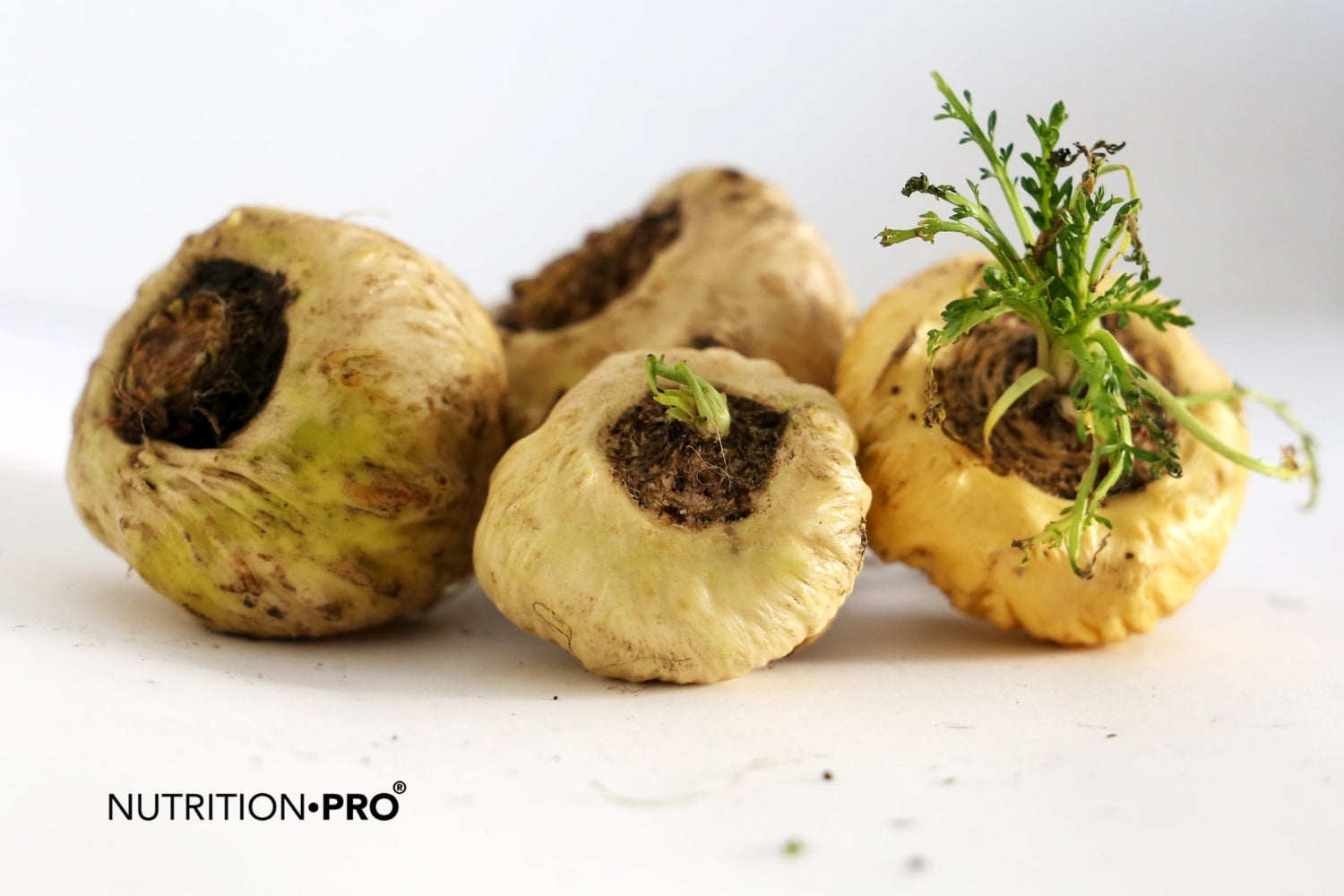 Maca : bienfaits prouvés, dosage et qualité
