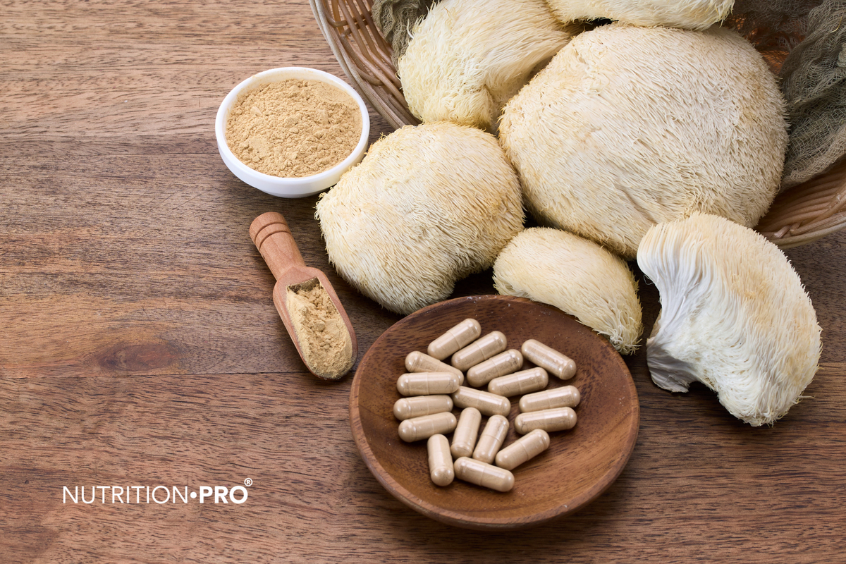 Mycothérapie : lion's mane, reishi, cordyceps, shiitake, chaga, ce que montrent les études