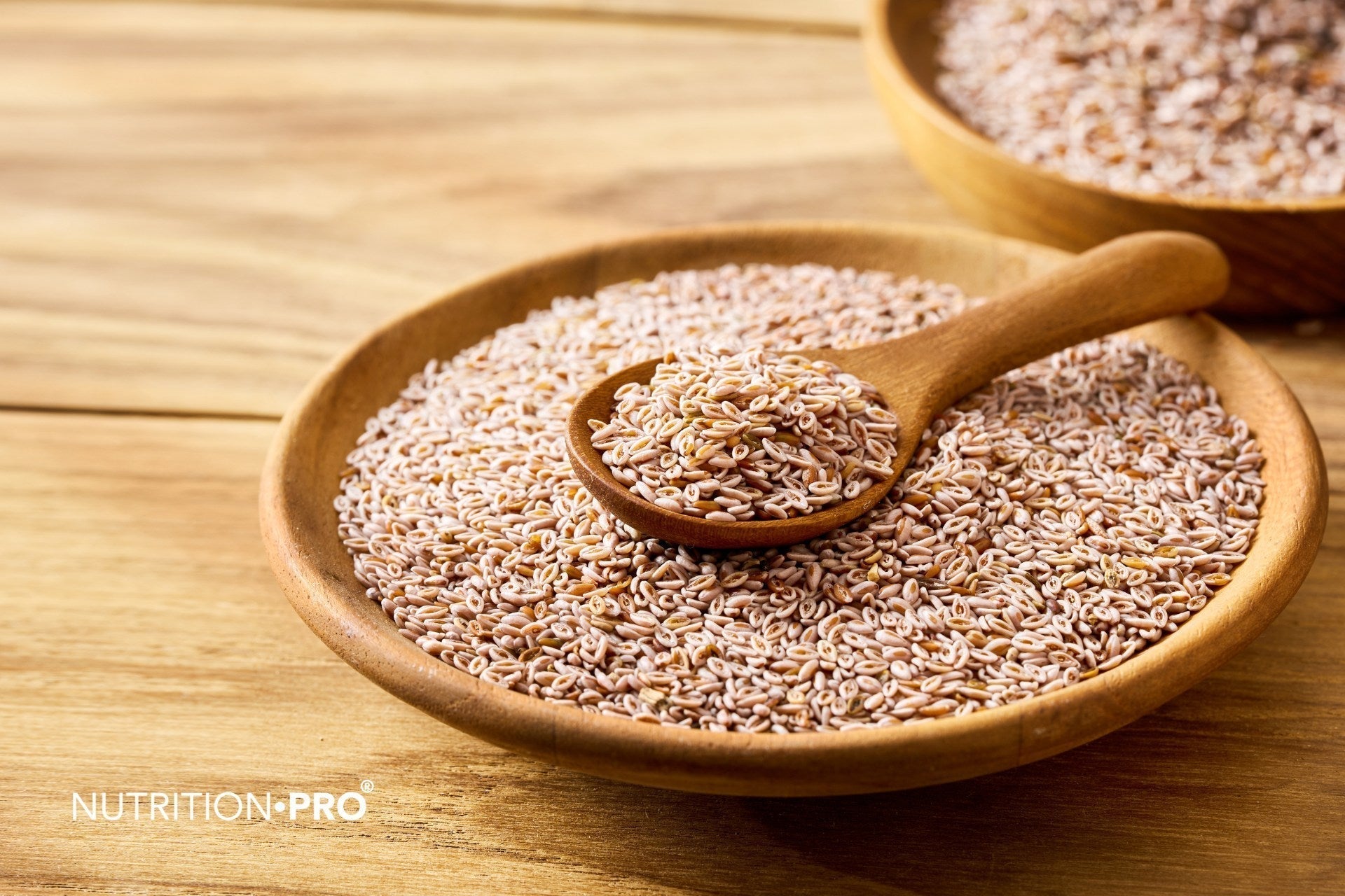 Psyllium blond : bienfaits prouvés, transit, cholestérol, dosage et précautions