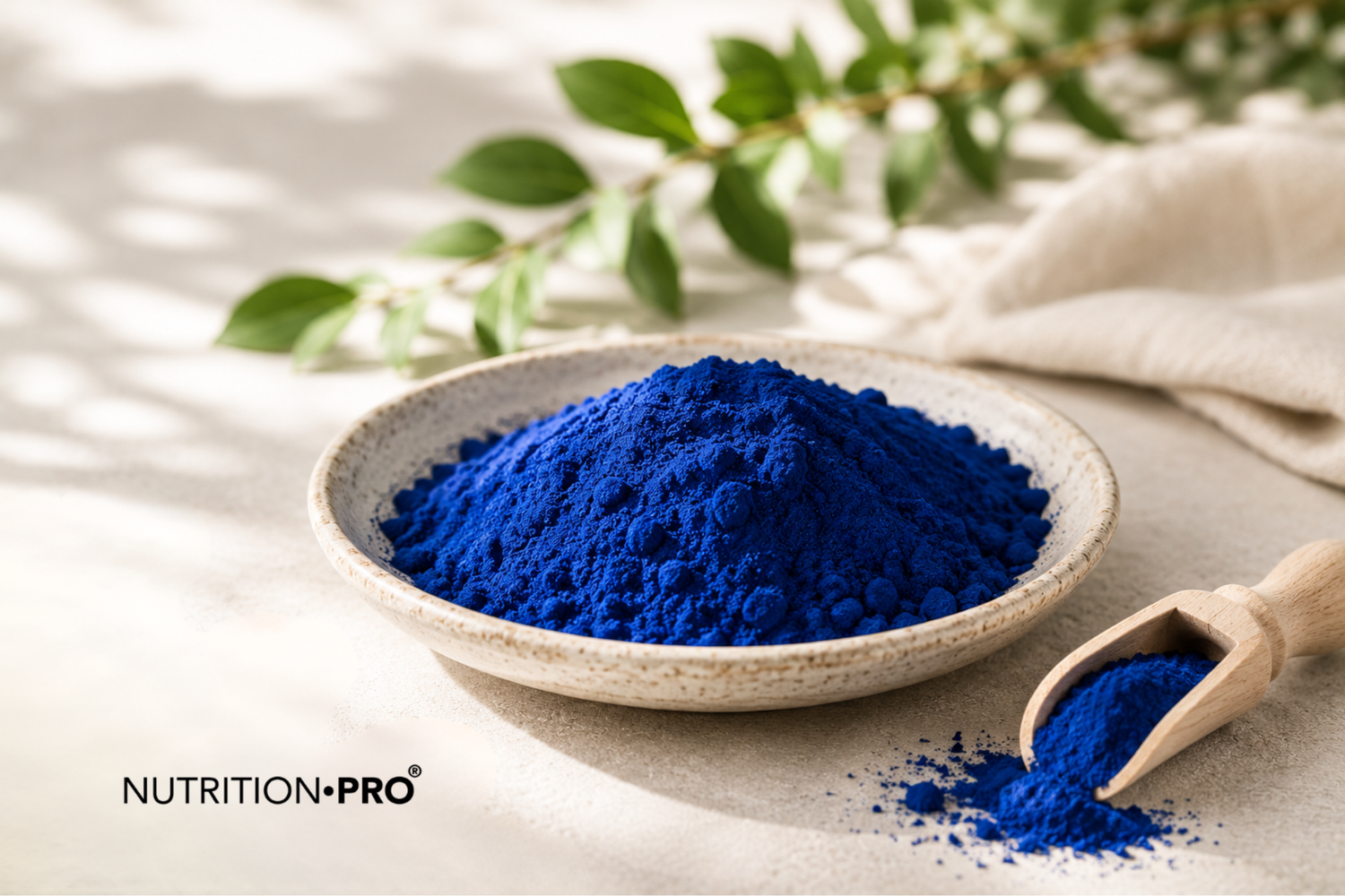 Spiruline Bleue (Phycocyanine) : Définition, Origine et Bienfaits.