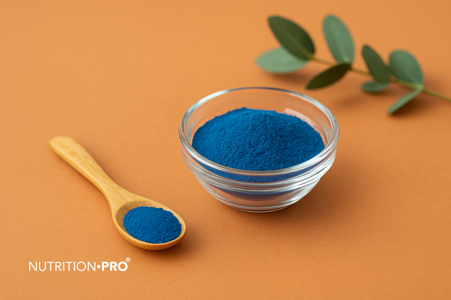 Spiruline bleue et nutrition anti-âge : ralentir les effets du temps