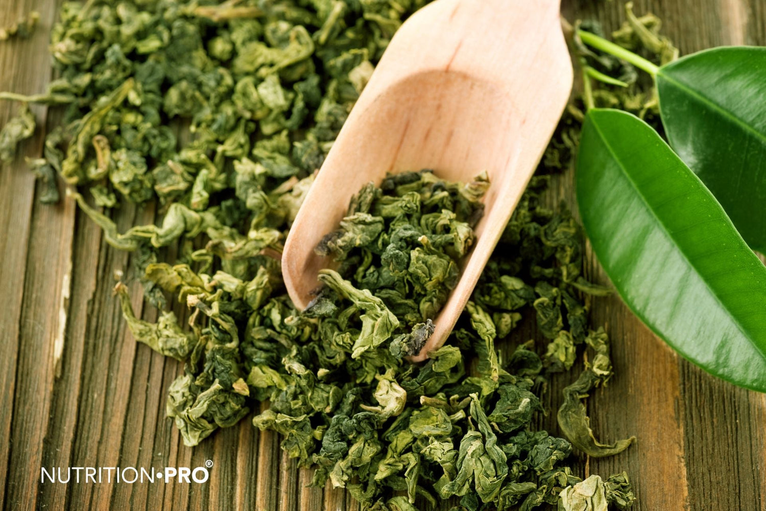 Thé vert et perte de poids : ce que dit vraiment la science (mythe ou allié minceur ?)