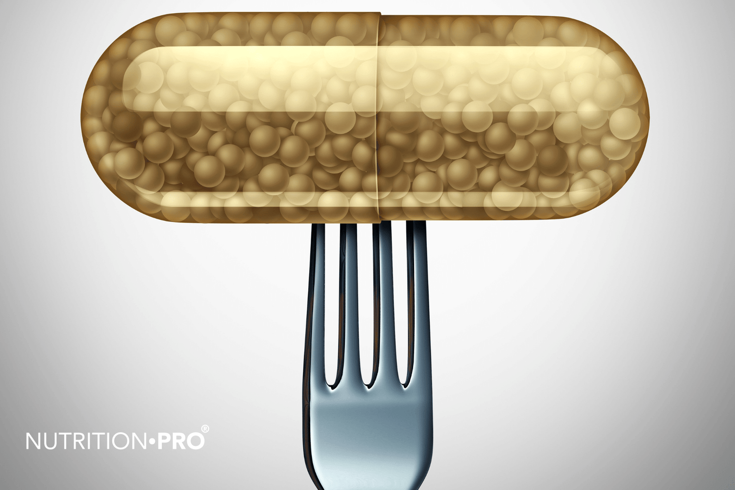 Tout savoir sur les probiotiques