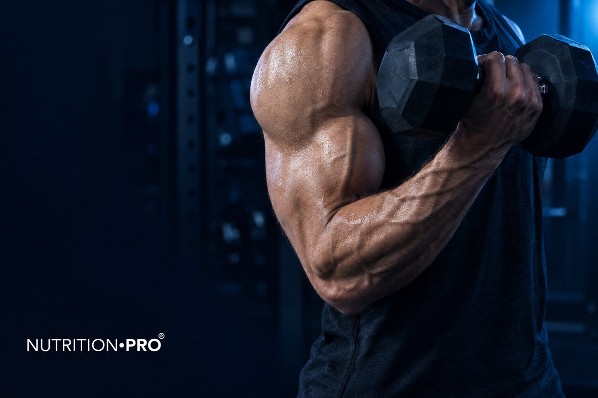 Citrulline et pump : bras veineux pendant une série de curl avec haltère