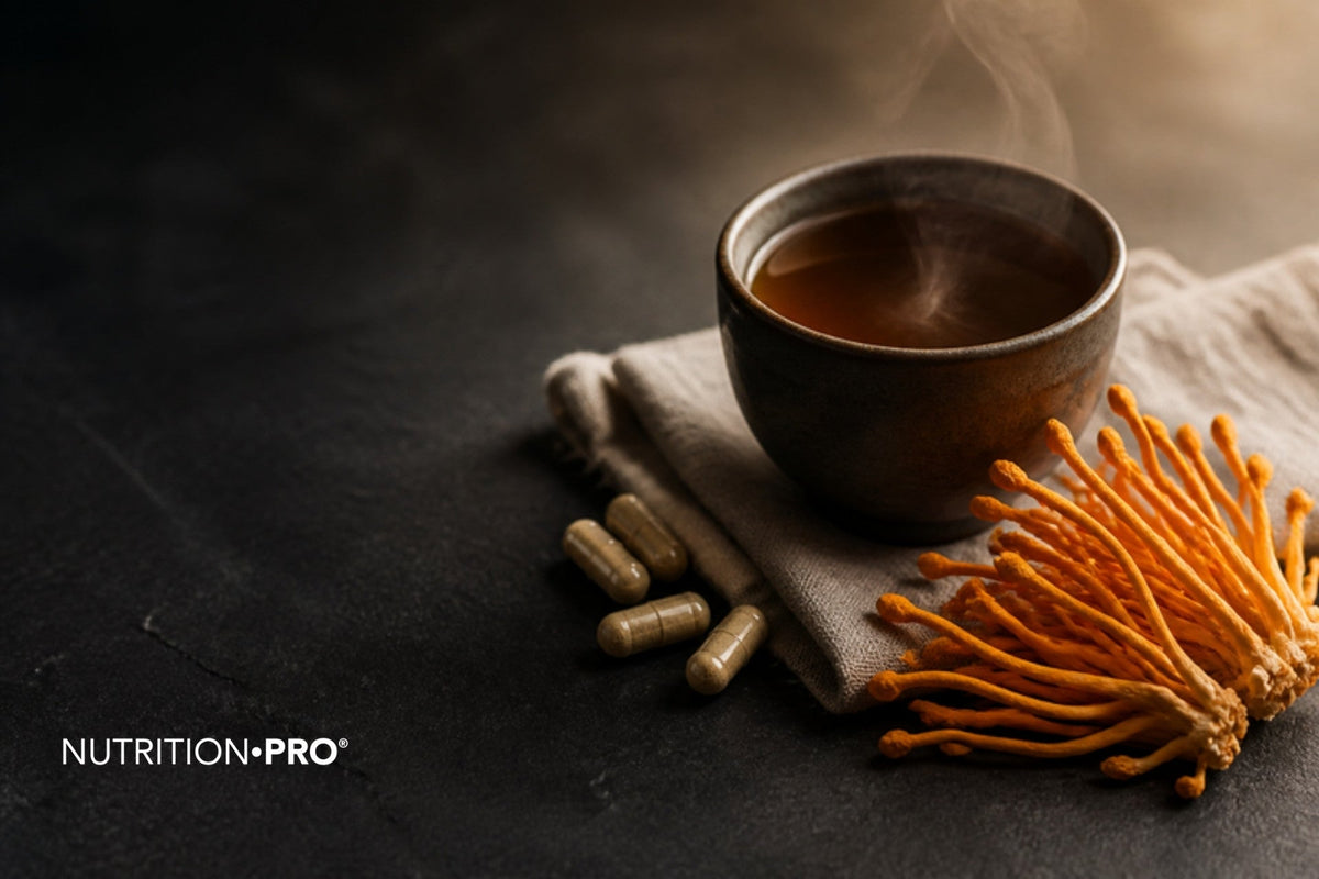 Cordyceps militaris orange, tasse chaude et gélules sur une ardoise sombre, cordyceps fatigue et énergie