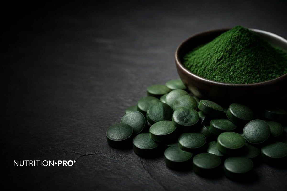Comprimés et poudre de spiruline vert foncé dans une coupelle sur une pierre sombre, spiruline danger effets secondaires