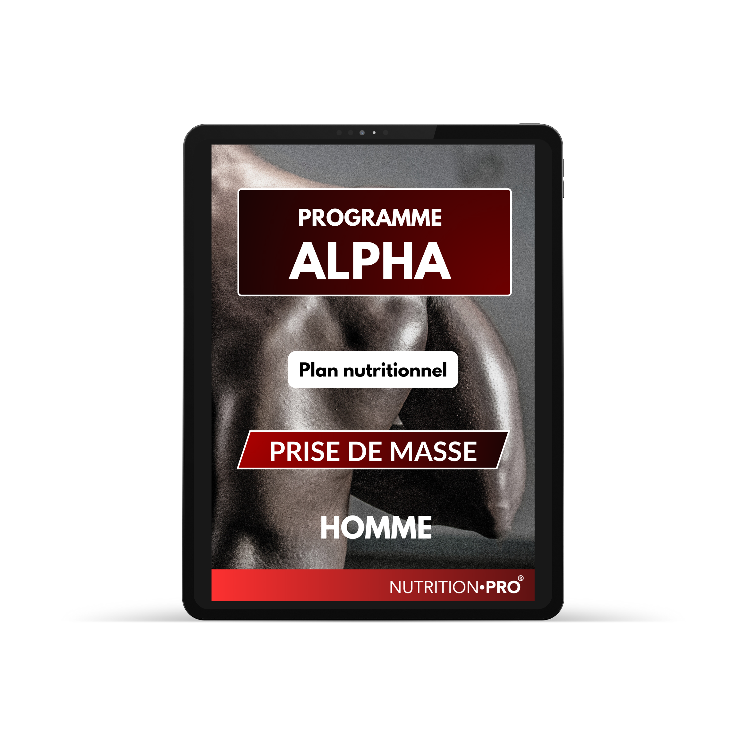 ALPHA PROGRAM - MASS GAUGE (MEN'S VERSION)
