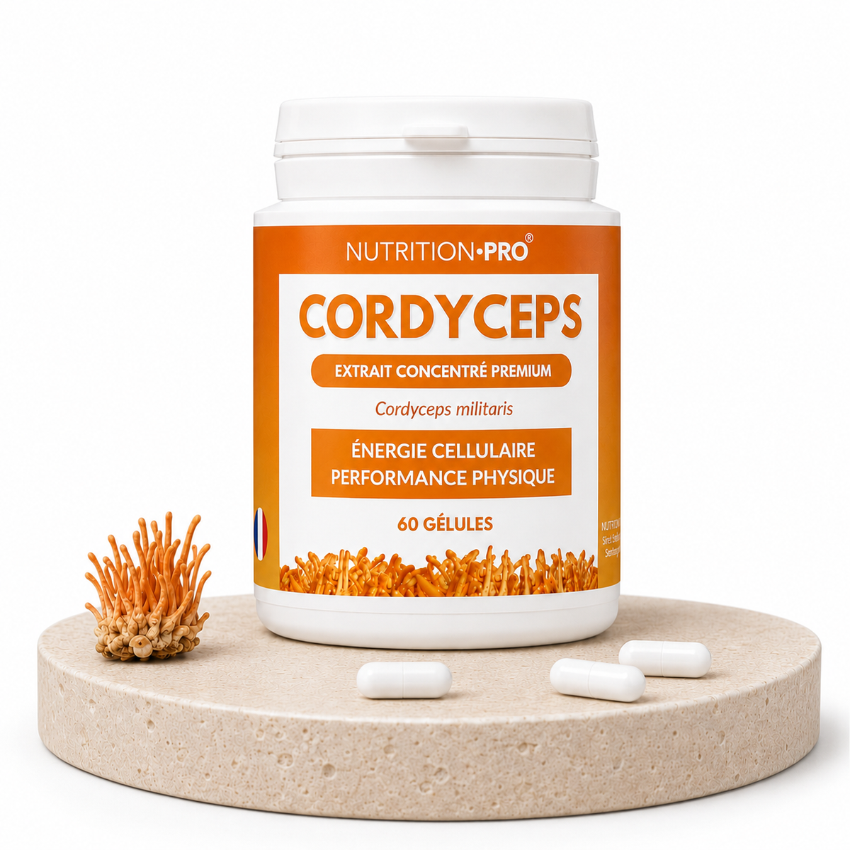 CORDYCEPS
