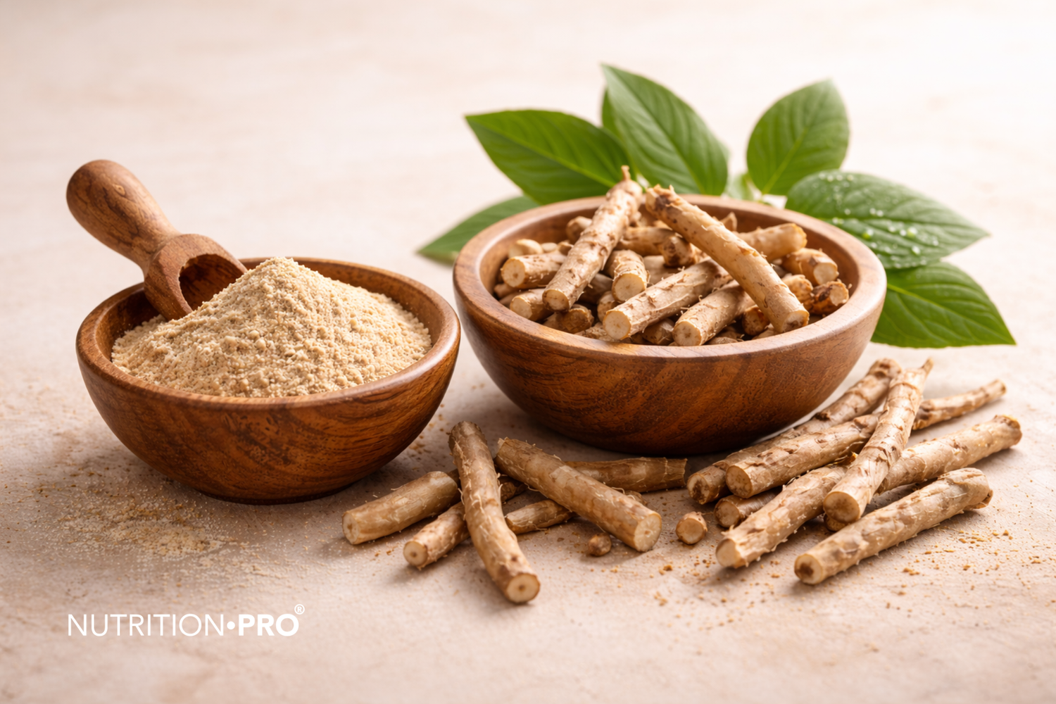 Ashwagandha : bienfaits, origine et usage en médecine ayurvédique
