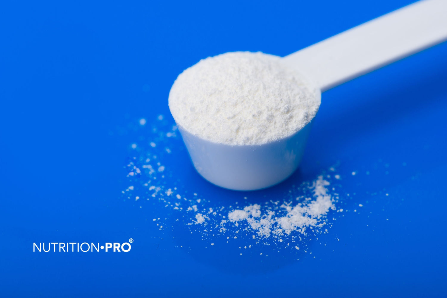 BCAA ou créatine : lequel choisir selon votre objectif ?