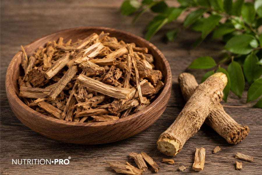 Bois bandé (muira puama) : que vaut-il vraiment, et comment bien l'utiliser ?