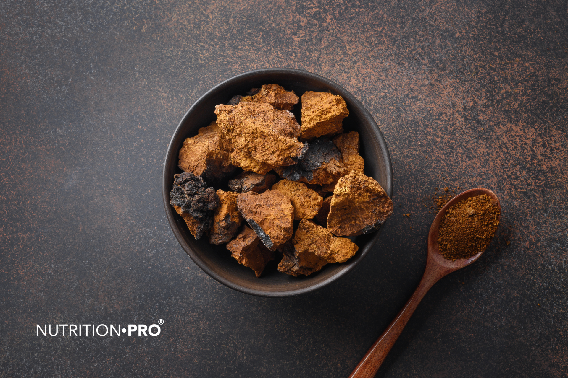 Chaga : dangers, effets secondaires et contre-indications