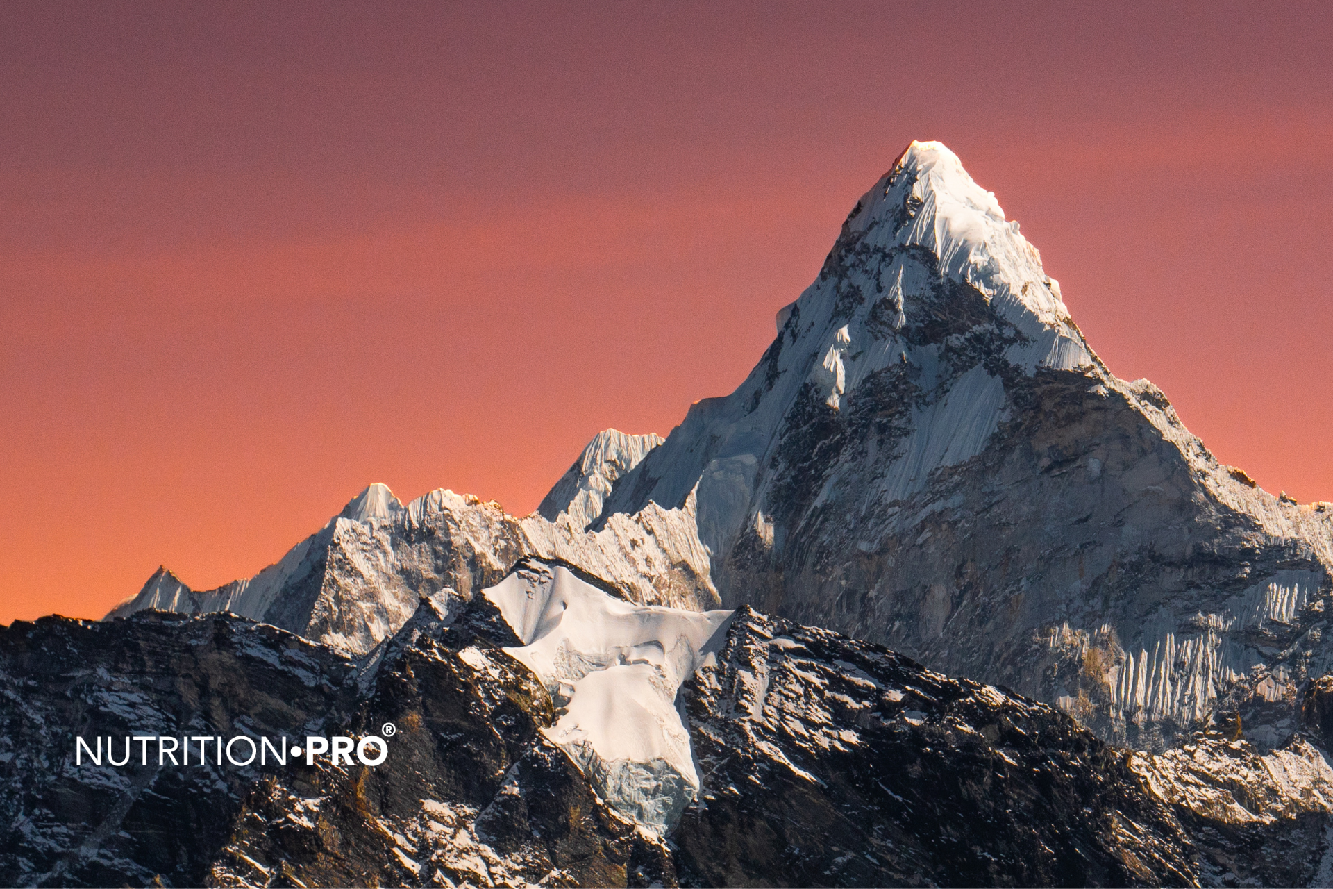 Comment choisir un Shilajit de qualité ? Les critères indispensables à vérifier