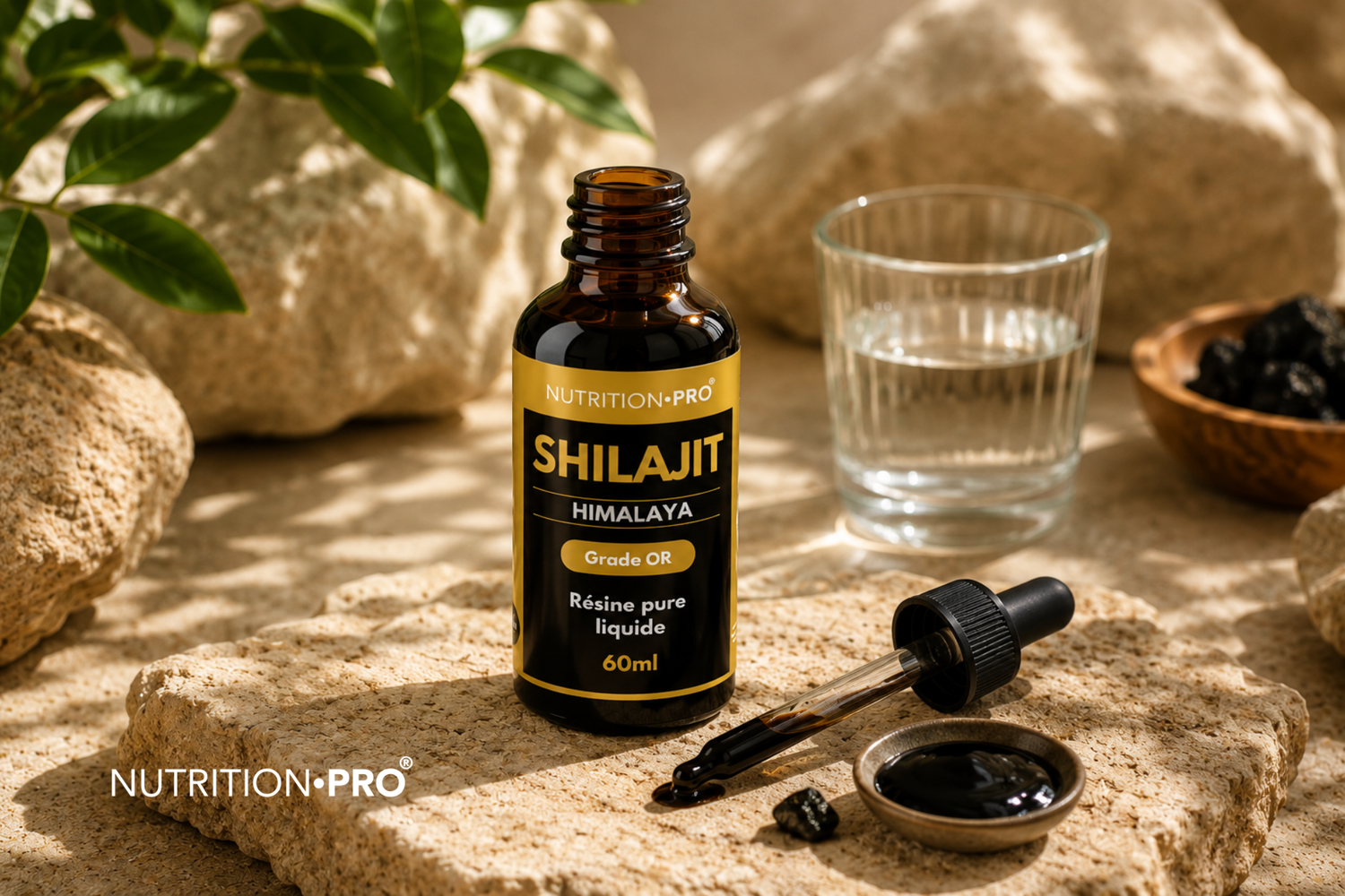 Comment choisir un Shilajit de qualité ? Les critères indispensables à vérifier