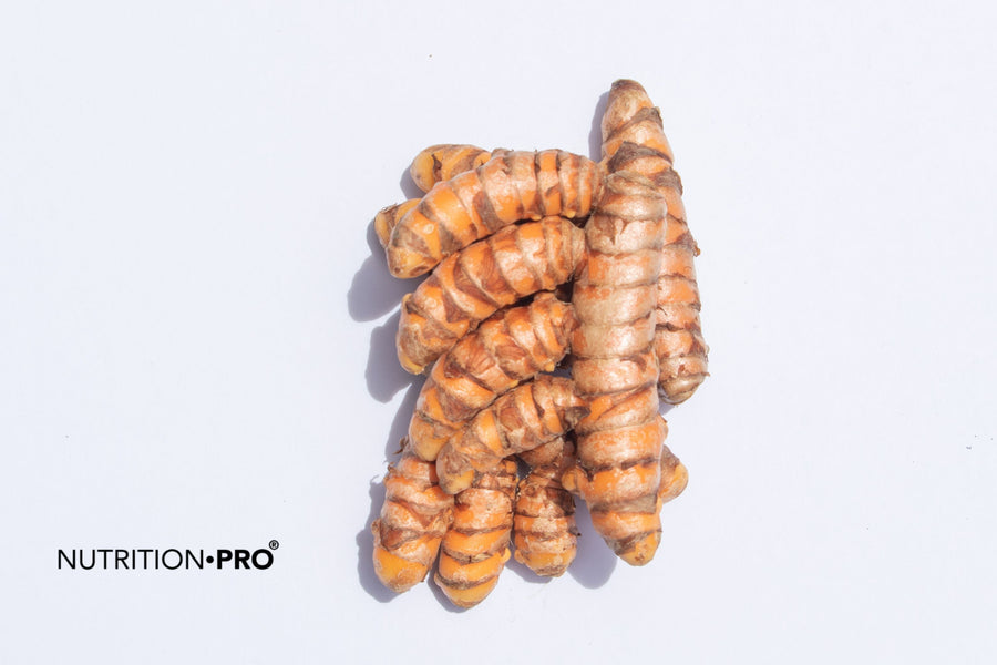 Curcuma frais : comment l'utiliser, le conserver, et quand préférer la poudre