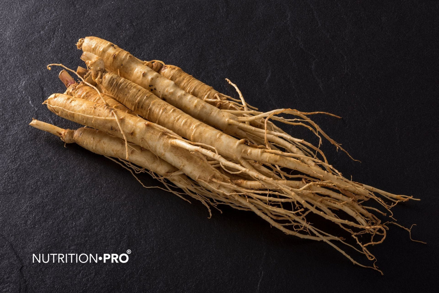 Ginseng, libido et érection : que disent les études ?