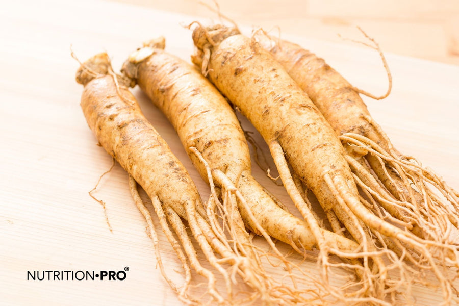 Ginseng rouge : bienfaits prouvés, ginsénosides, dosage et précautions (le guide complet)