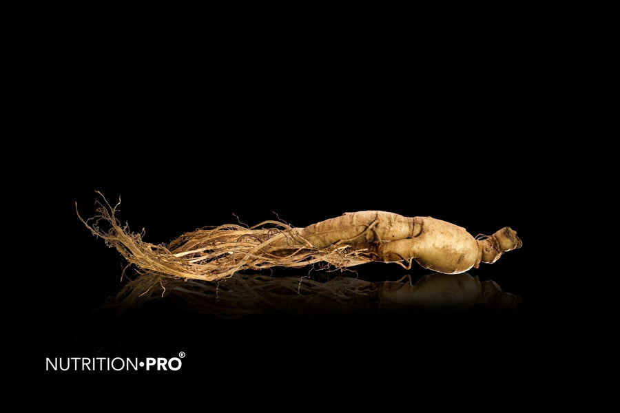 Ginseng rouge ou blanc : lequel choisir ?