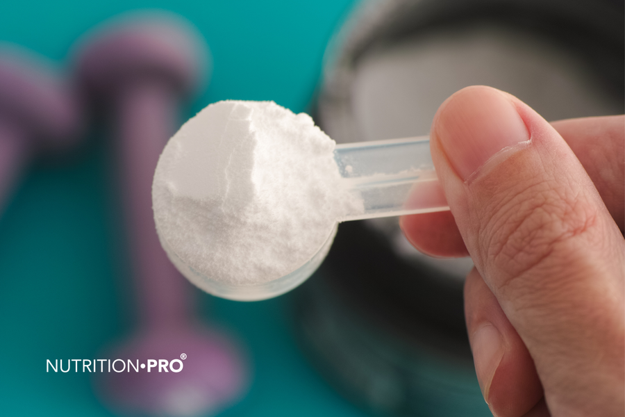 Glutamine et sport : immunité du sportif, intestin de l'athlète, ce que montrent les essais