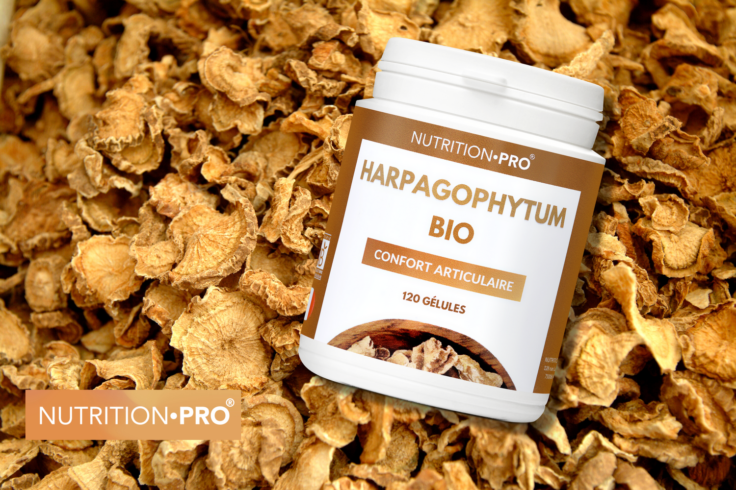 Harpagophytum : le remède naturel pour soulager les douleurs articulaires
